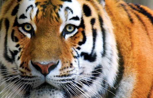 Fisherbrand scientific products portfolio