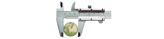 Caliper holding a Petri dish with growing culture